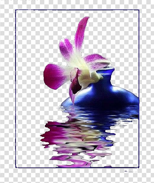 Lilium Illustration, Creative lily transparent background PNG clipart