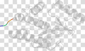 Line Angle , line transparent background PNG clipart thumbnail