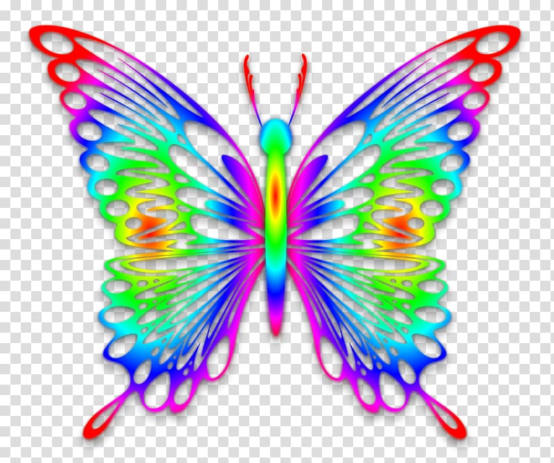 Butterfly Rainbow Desktop , watercolor butterfly transparent background PNG clipart