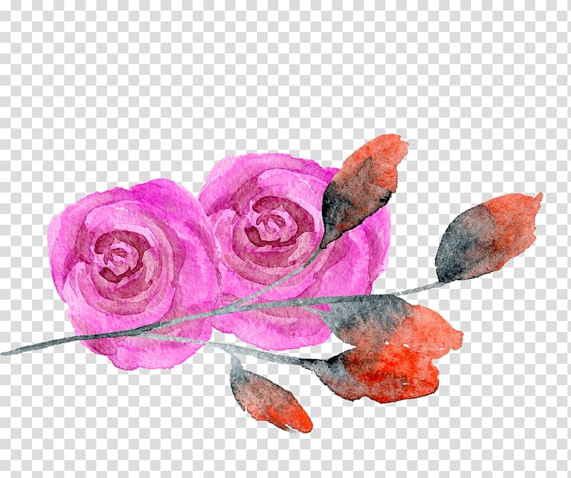 Garden roses Creative Watercolor Watercolor Watercolor painting, Rose red flower watercolor transparent background PNG clipart