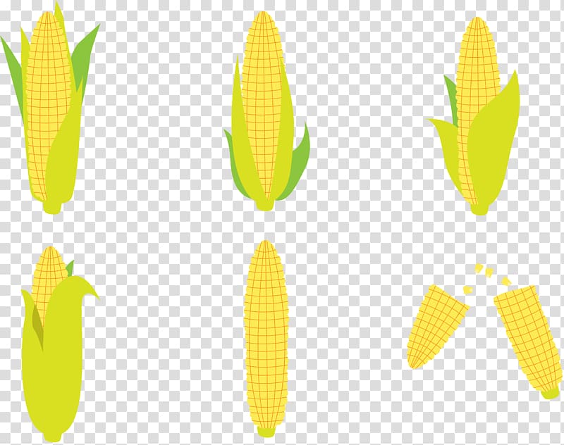 Corn flakes Maize Corn on the cob, Golden corn transparent background PNG clipart