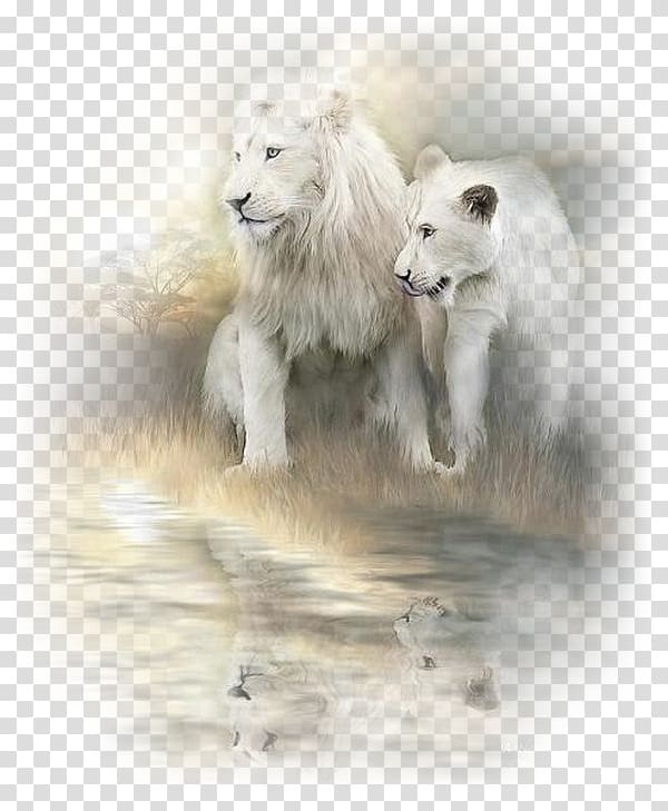 White lion Painting Cat Art, lion transparent background PNG clipart