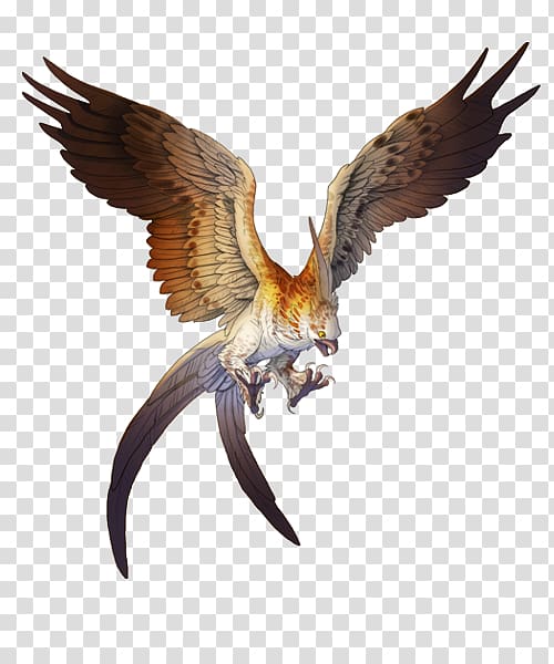 Hawk Golden eagle Bird Bald Eagle, eagle transparent background PNG clipart