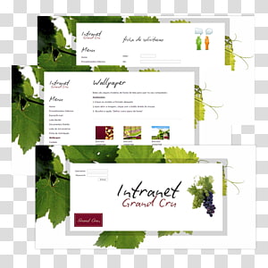 Floral design Brand Flower Font, design transparent background PNG clipart thumbnail