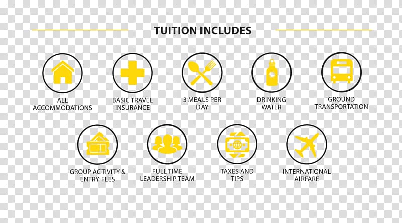 Tuition payments Student Learning Fee Travel, student transparent background PNG clipart