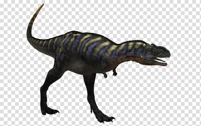Tyrannosaurus Aucasaurus Pteranodon Velociraptor Carnotaurus, barosaurus transparent background PNG clipart