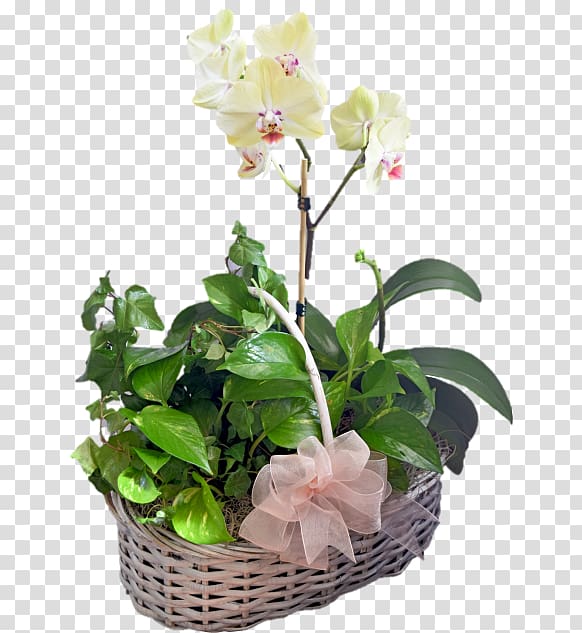 Floral design Beautiful Bouquets & Baskets Florist Cut flowers Flower bouquet, flower transparent background PNG clipart