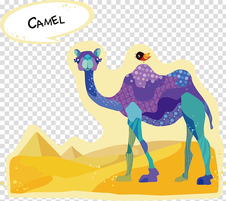 Dromedary Bactrian camel Drawing Cartoon, Camel cartoons transparent background PNG clipart