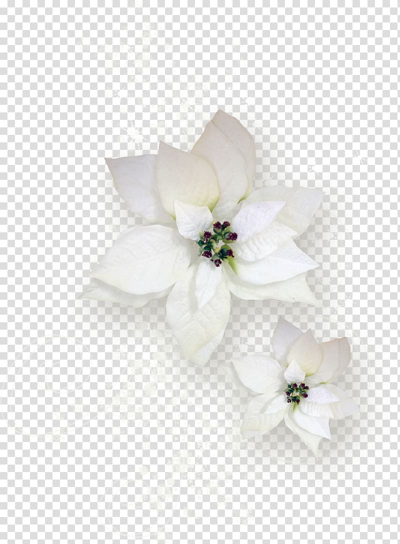 Cut flowers Flowering tea Rose Plant, cupid transparent background PNG clipart