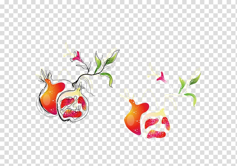Pomegranate Euclidean Illustration, pomegranate transparent background PNG clipart