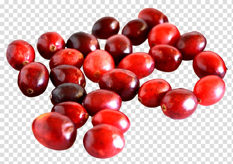 red cherries , Frutti di bosco Redcurrant Cranberry Lingonberry Nutrition, Cranberry transparent background PNG clipart
