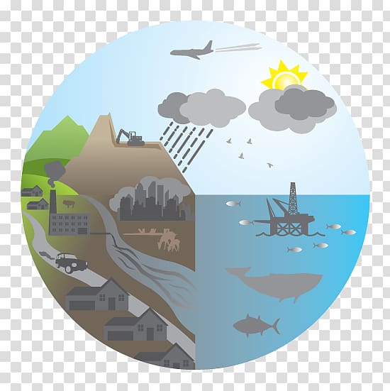 Ecosystem Architectural Graphics Systems ecology, natural environment transparent background PNG clipart