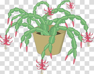 Flowering plant Christmas ornament Plant stem Leaf, oz transparent background PNG clipart thumbnail