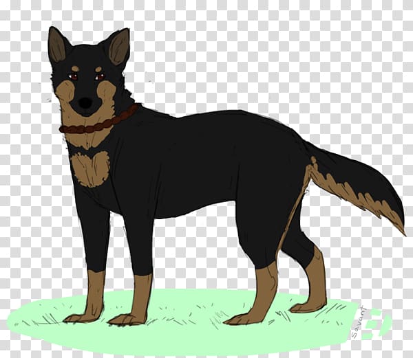 Ormskirk terrier Australian Kelpie Pinscher Australian Cattle Dog Dog breed, Australia transparent background PNG clipart