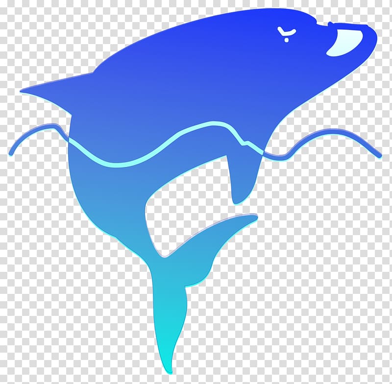 dolphin transparent background PNG clipart