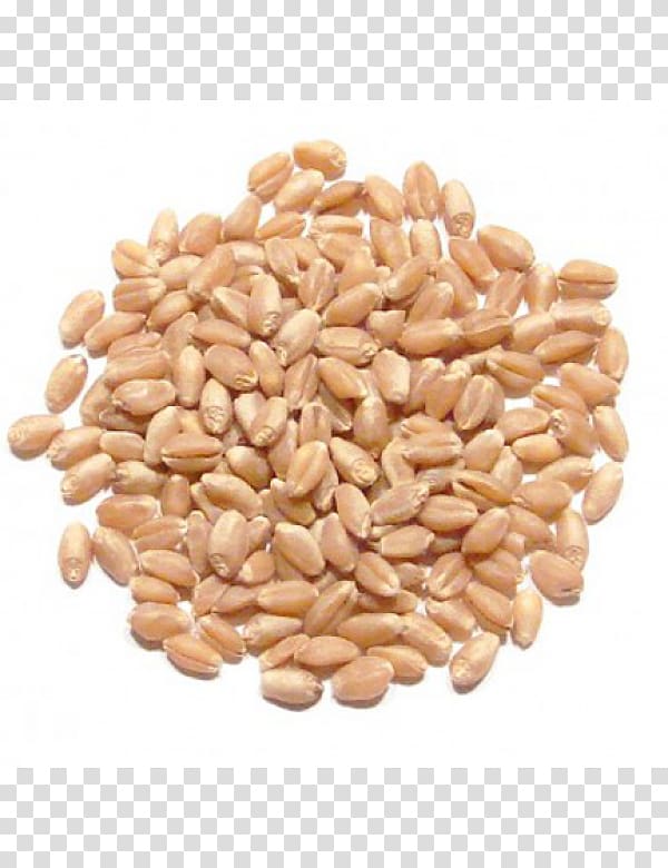 Wheat berry Whole grain Spelt Durum Food, others transparent background PNG clipart