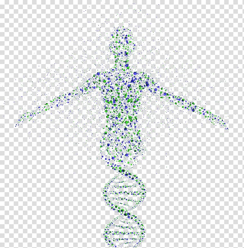 green and blue human DNA artwork, Genetics Genetic testing Genomics DNA, DNA transparent background PNG clipart