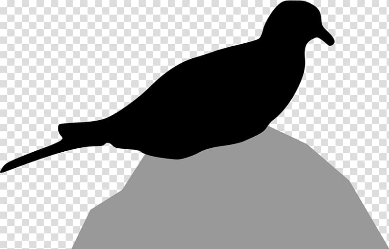 Columbidae Bird Mourning dove Silhouette , Free Dove transparent background PNG clipart