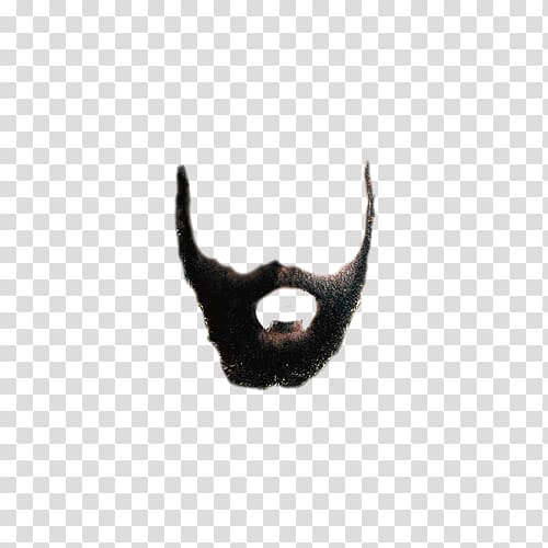 Beard Euclidean Icon, False beard transparent background PNG clipart