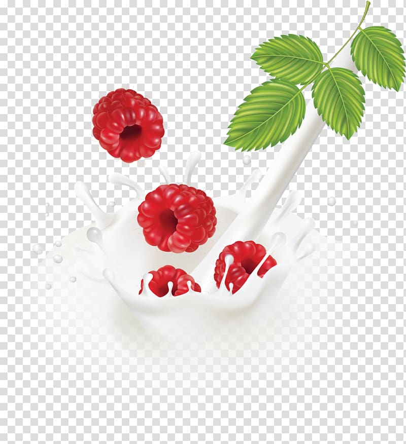 Milk Cranberry Fruit, raspberry transparent background PNG clipart