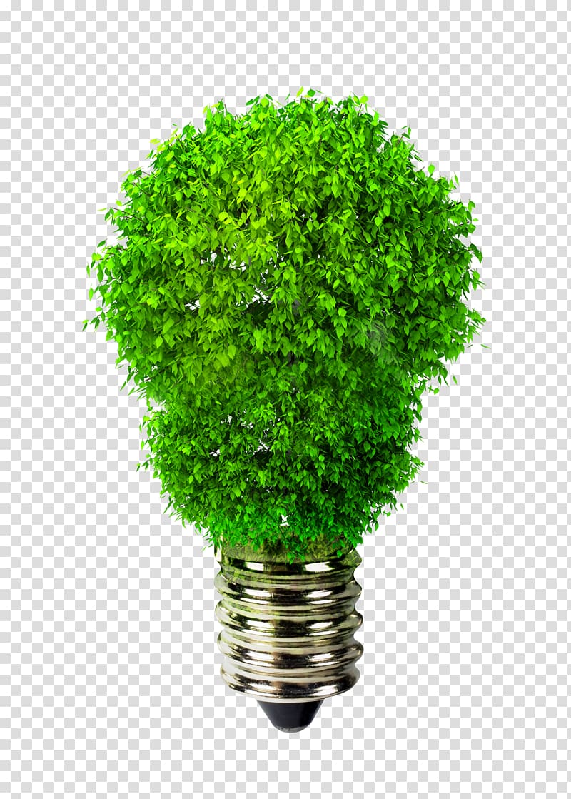 Incandescent light bulb Green Environmentally friendly Renewable energy, Creative green bulb transparent background PNG clipart