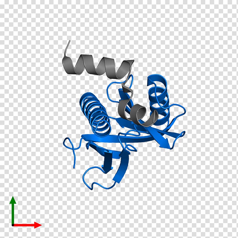 Protein Data Bank Amyloid beta Pfam Structural Classification of Proteins database, Amyloid Precursor Protein transparent background PNG clipart