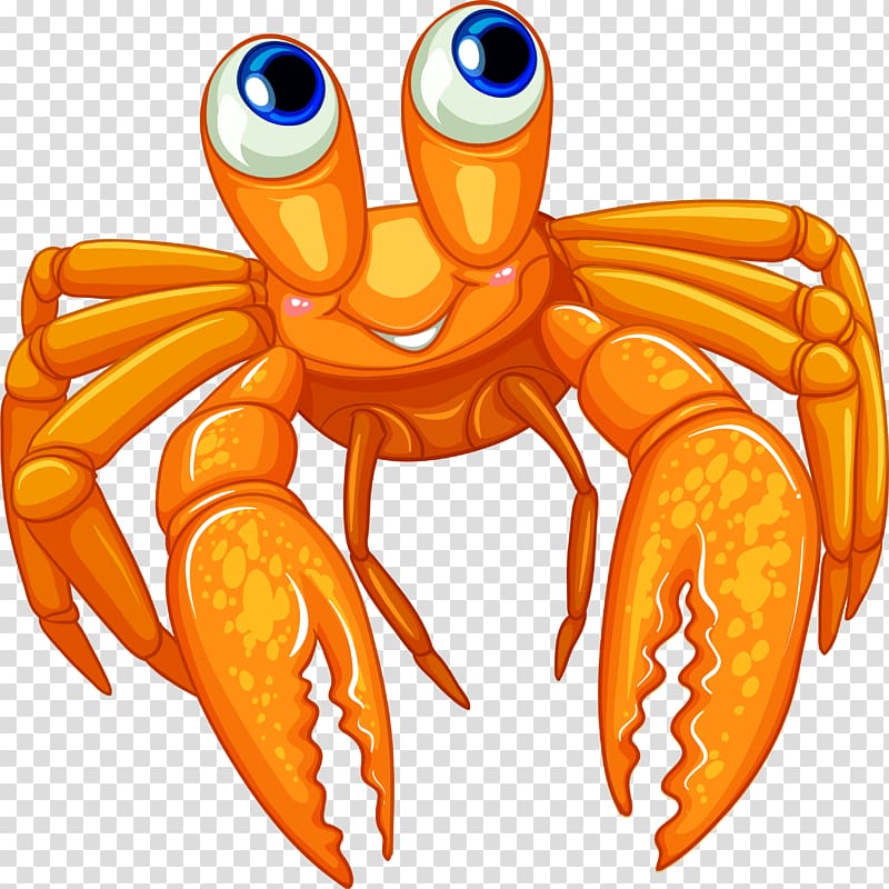 Hermit crab , crab transparent background PNG clipart