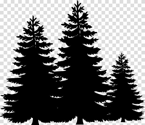 three silhouette of pine trees, Pine Tree Fir , Simple Tree Outline transparent background PNG clipart
