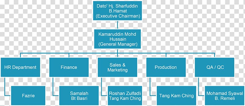 Organizational chart Business Diagram Advertising, Business transparent background PNG clipart