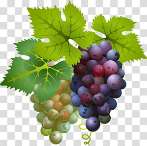 Art Painting, painting transparent background PNG clipart thumbnail