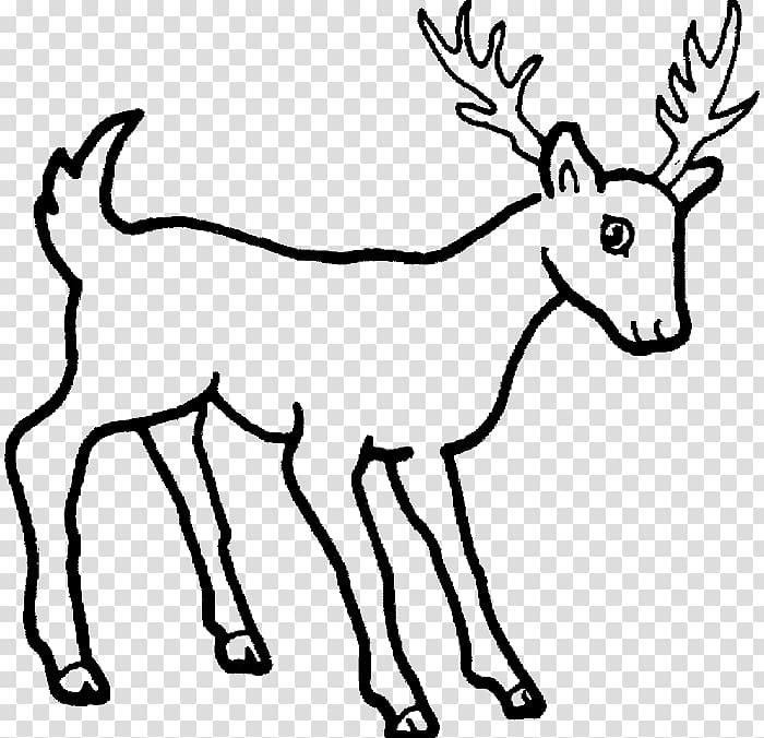Deer Drawing Sketch Cartoon, deer transparent background PNG clipart