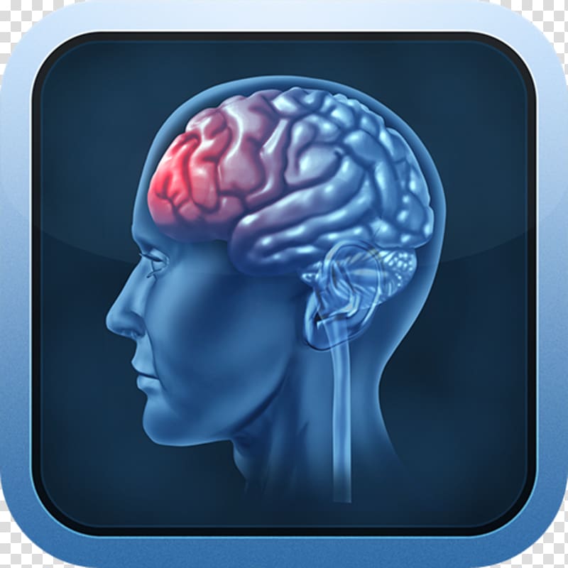 Traumatic brain injury Acquired brain injury, Brain transparent background PNG clipart