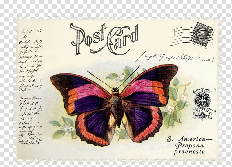 Brush-footed butterflies Postage Stamps Mail Butterfly Prepona praeneste, butterfly transparent background PNG clipart