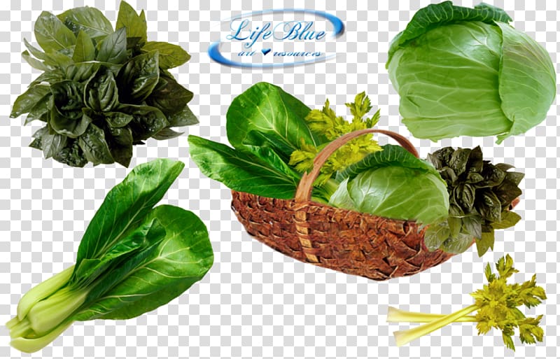 Leaf vegetable Food, vegetables transparent background PNG clipart