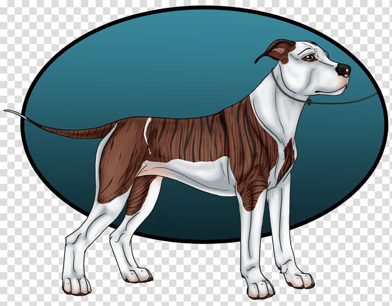 Dog breed Italian Greyhound Whippet Art Non-sporting group, Conformation Show transparent background PNG clipart