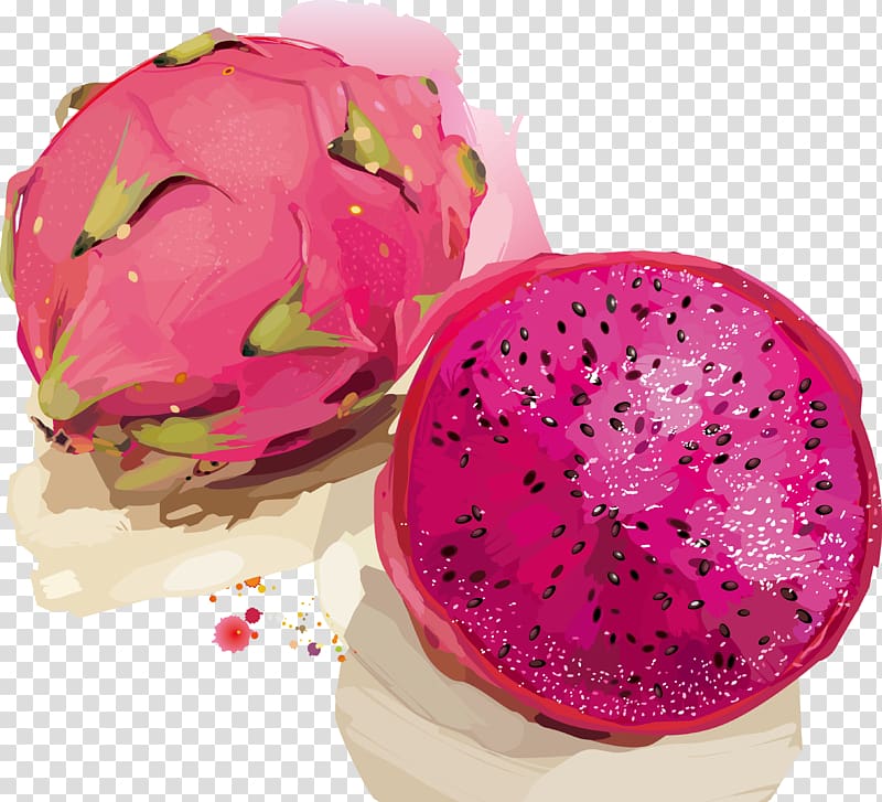 Juice Pitaya Fruit, Hand-painted dragon fruit transparent background PNG clipart