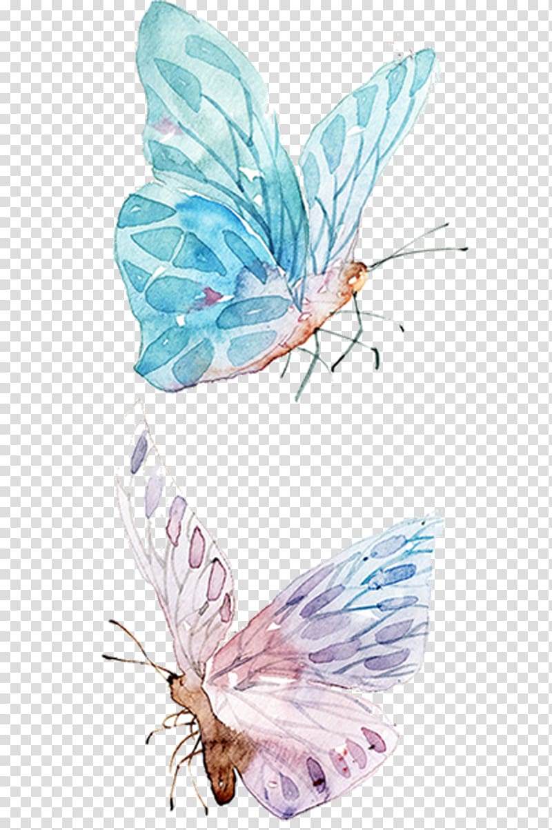 Watercolor painting Drawing , blue butterfly transparent background PNG clipart
