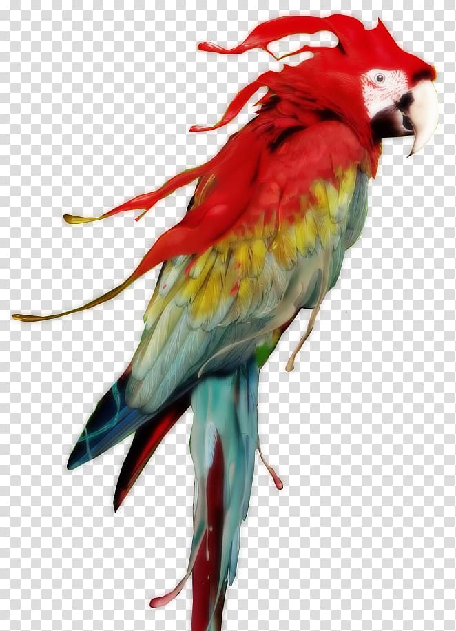 Red-and-green macaw Parrot Scarlet macaw Great green macaw, parrot transparent background PNG clipart