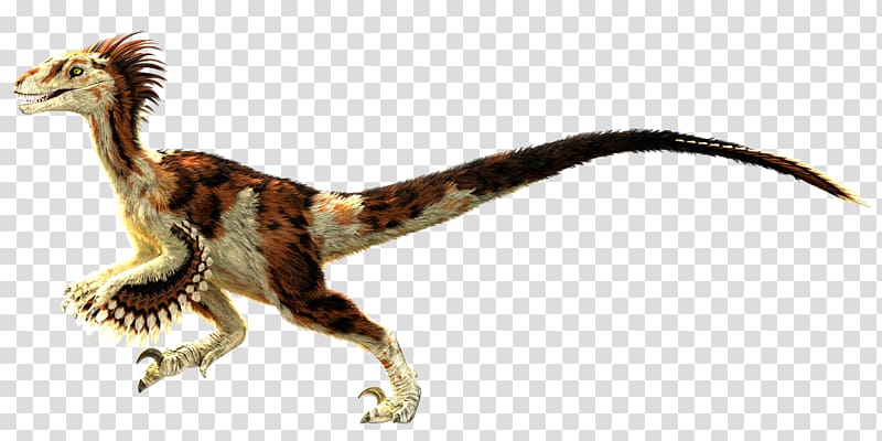 Velociraptor Primal Carnage: Extinction Feathered dinosaur, feather transparent background PNG clipart