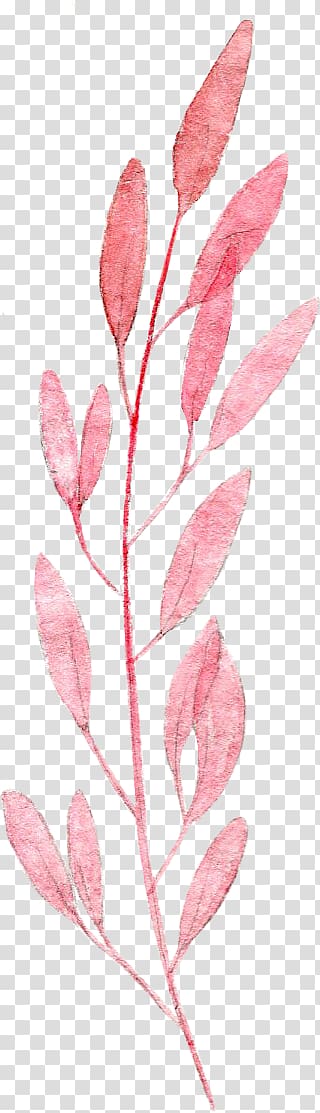 ovate leaf pink plant illustration, Watercolor painting Leaf Pink Drawing, Watercolor leaves transparent background PNG clipart