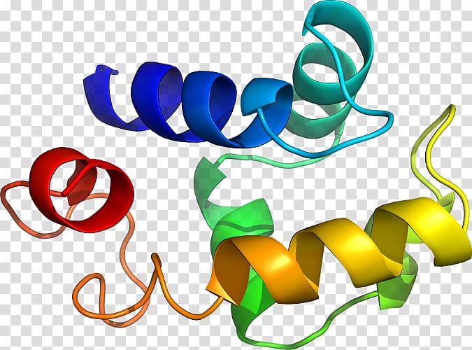 Line , design transparent background PNG clipart