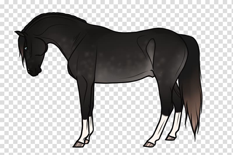 Mane Mustang Stallion Mare Pony, Requiem For A Dream transparent background PNG clipart