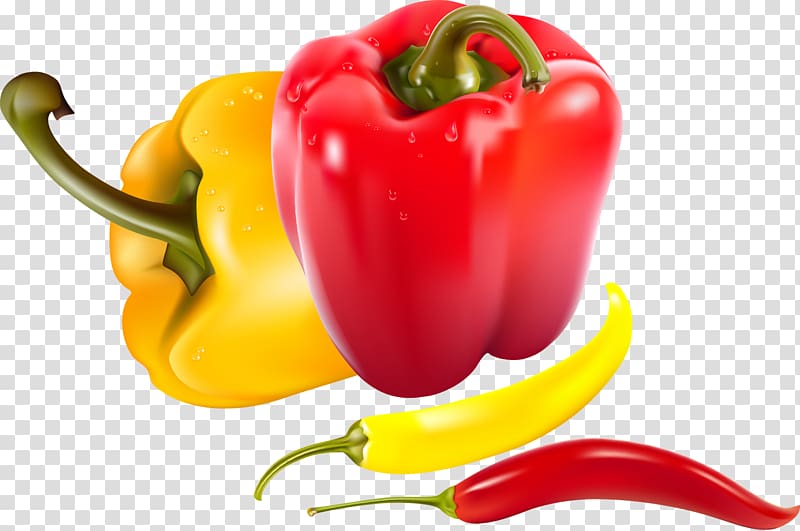Vegetable Bell pepper Capsicum Grocery store, pepper transparent background PNG clipart