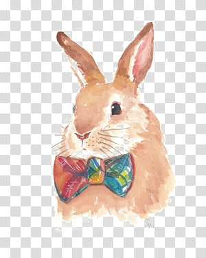 rabbit transparent background PNG clipart thumbnail