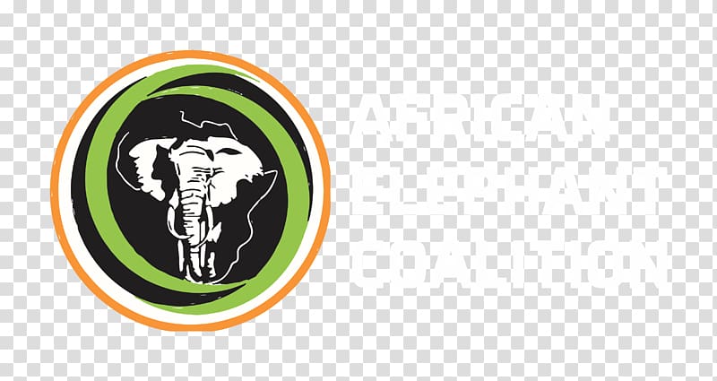 African elephant Central African Republic Elephants Ivory trade Democratic Republic of the Congo, elephants transparent background PNG clipart