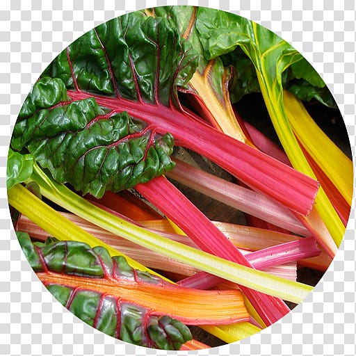 Chard Common beet Heirloom plant Vegetable Garden rhubarb, vegetable transparent background PNG clipart