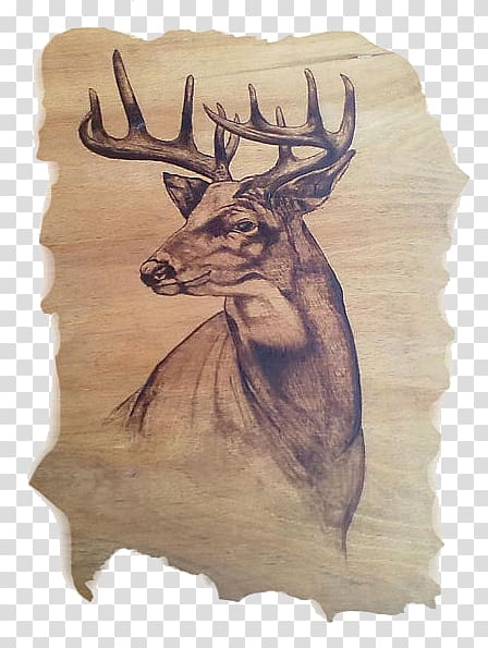 Elk Reindeer Drawing Pyrography Antler, Reindeer transparent background PNG clipart