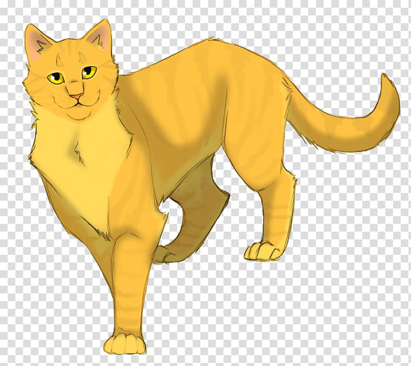 Into the Wild Cat Warriors ThunderClan Sunstar, Cat transparent background PNG clipart