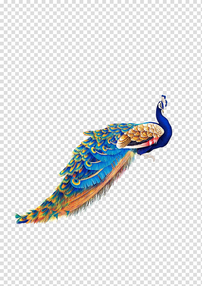 blue and brown peacock illustration, Bird Peafowl , peacock transparent background PNG clipart