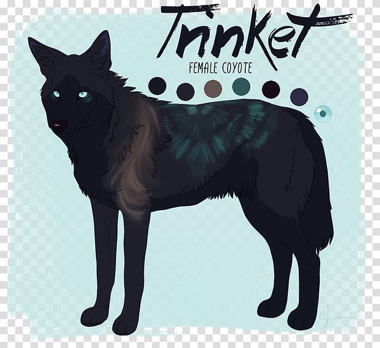 Black cat Schipperke Whiskers Dog breed, Cat transparent background PNG clipart